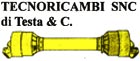 Logo TECNORICAMBI Snc di Testa & C.