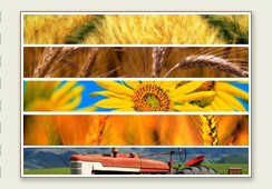 Foto galleria CANALIS AGRICOLTURA di Canalis Mattia