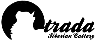 Logo Otrada Syberian Cattery