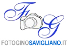 Logo FOTO GINO di Balducci Luigi s.a.s.
