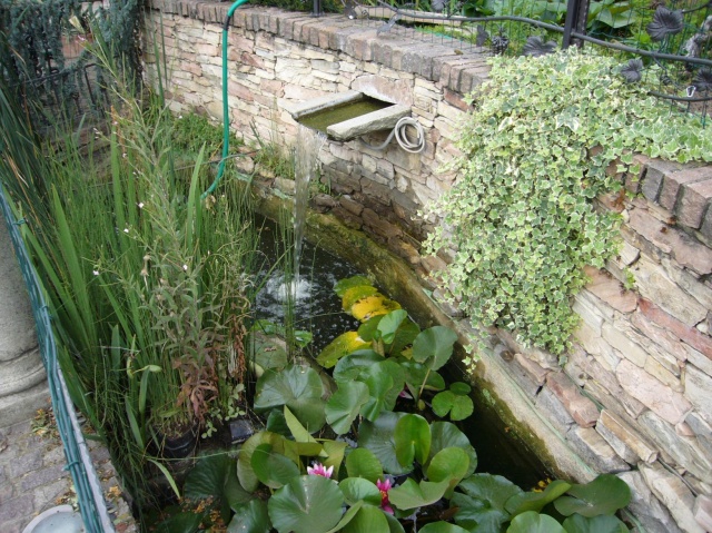 Foto galleria PARADISI D\'ACQUA di Barale Paolo