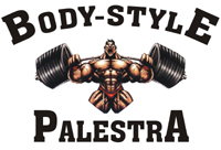 Logo PALESTRA BODY STYLE