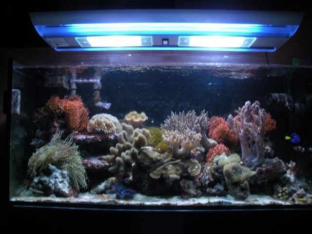 Foto galleria PARADISI D\'ACQUA di Barale Paolo
