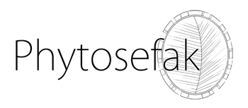 Logo Phyto Sefak - Il Meglio della natura a Vostra disposizione