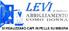 Logo LEVI di Levi Amelia