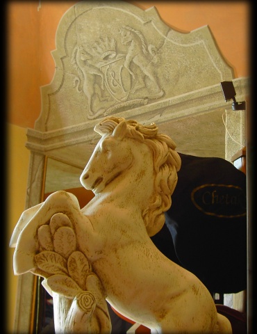 Foto galleria C & C DI CHIAVASSA CRISTIAN - Tutto per l'equitazione