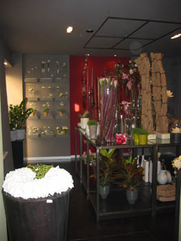 Foto galleria HG CREATIVITY s.a.s.