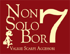 Logo Non Solo Bor7 - Valigie Scarpe Accessori