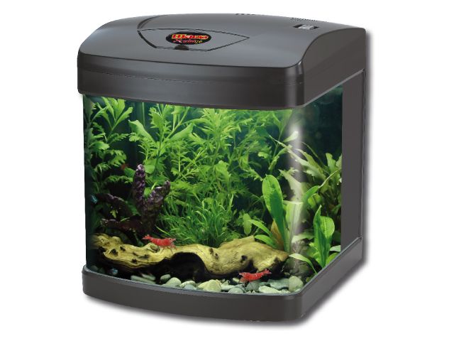 ACQUARIO