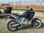 pegaso 650