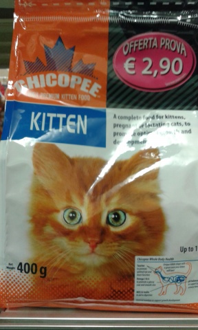 CHICOPEE CANE e GATTO