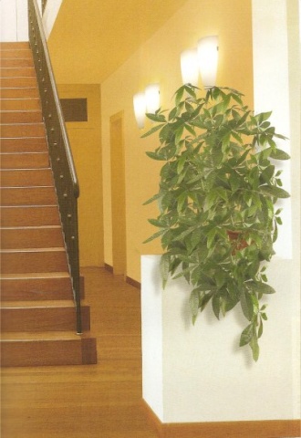 Lampade da parete in vetro soffiato bianco satinato - Modello Fusò