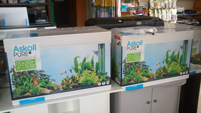 ASKOLL PURE XLG 98LT