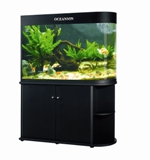 ACQUARIO SHOT 80