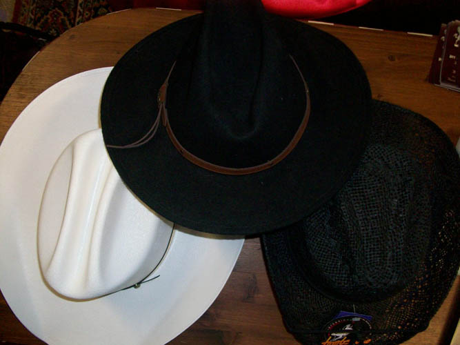 Cappelli stile Western