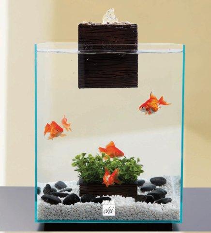 Askoll - Fluval Chi - 19 litri (OFFERTA SPECIALE PER IDEA REGALO FINO AD ESAURIMENTO SCORTE)