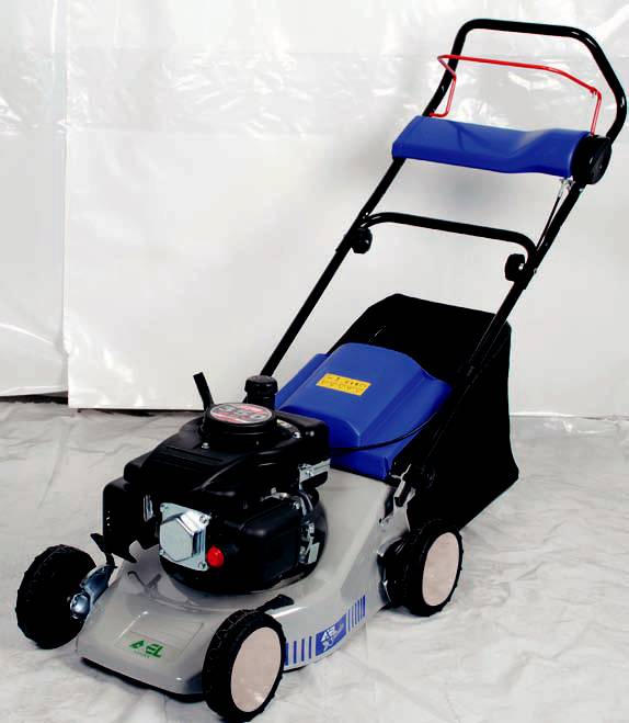 RASAERBA A SCOPPIO 41 - S