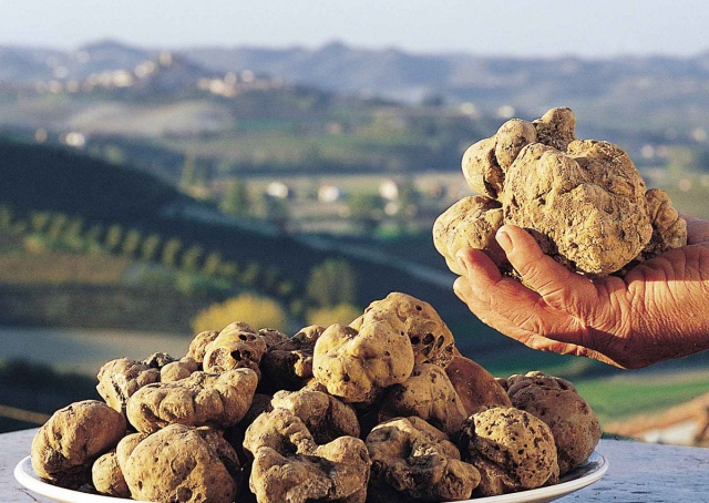 Tour gastronomici