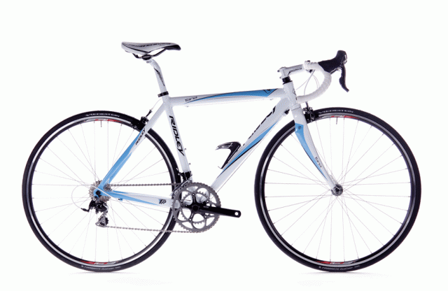 RIDLEY YANA